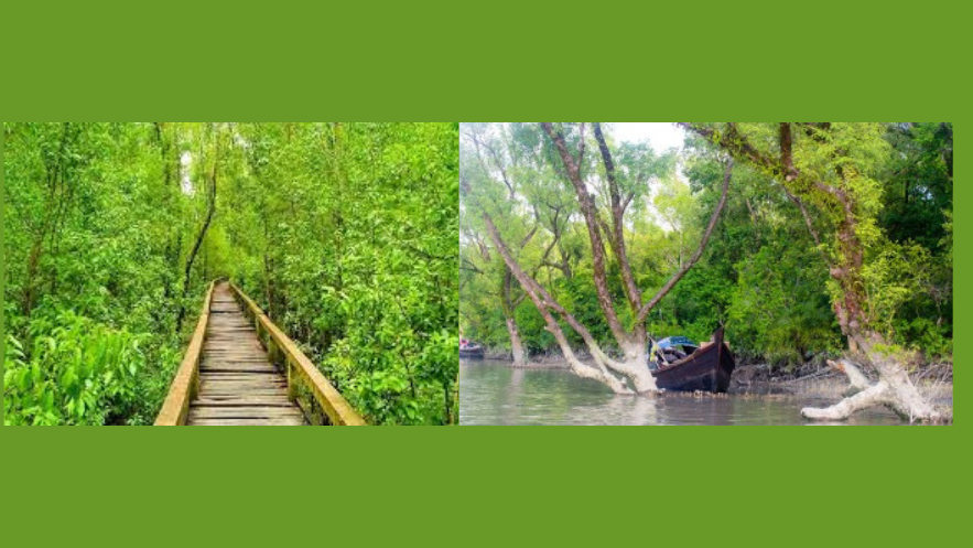 টেংরাগিরি ইকোপার্ক